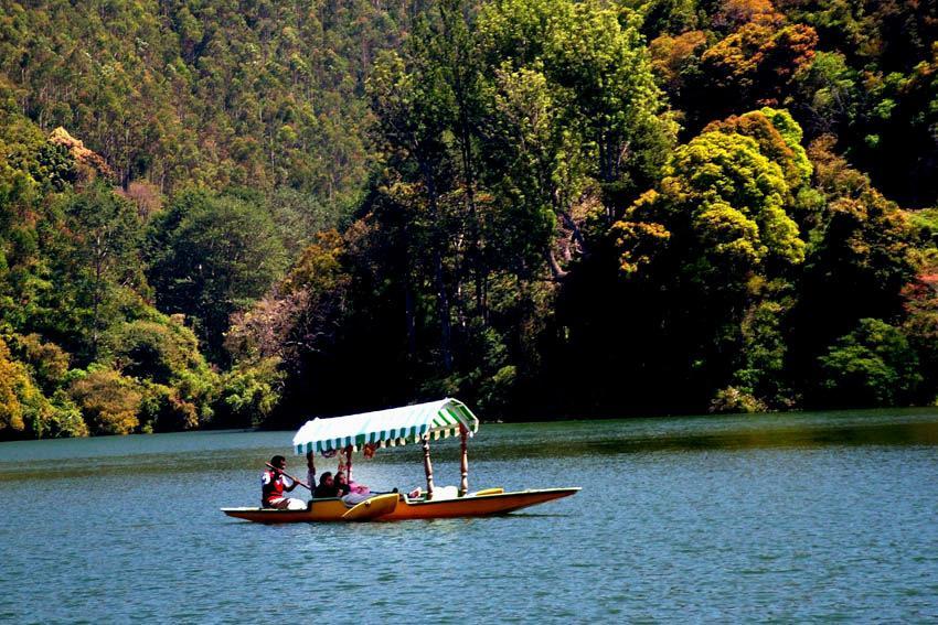 Munnar Dreams Hotel Bagian luar foto